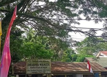 Kondisi pohon yang berada dipinggir jalan lintas Jeuram-Beutong