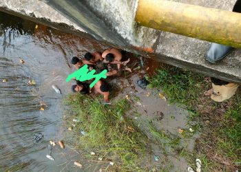 Masyarakat di gegerkan penemuan mayat di bawah Jembatan Dusun Tambang Enam, Desa Mislak, Kecamatan Jebus
