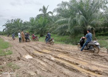 Jalan bak kubang kerbau 
di desa, Alue Bieng, Kebon Pirak, Buket Pidie