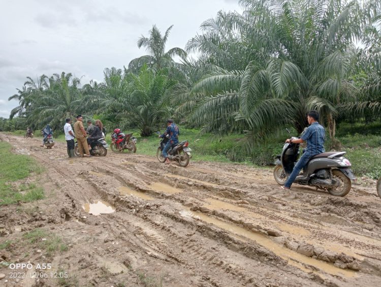 Jalan bak kubang kerbau 
di desa, Alue Bieng, Kebon Pirak, Buket Pidie