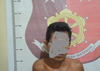 Seorang pelaku tindak pemerkosaan terhadap seorang anak dibawah umur