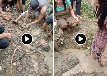 Salah seorang warga Desa Simaeasi Kecamatan Mandrehe Kabupaten Nias Barat Bidekari Bilinius Gulo Alias Ama Dian (35) dikabarkan kesengetan listrik