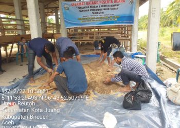 Pemerintah Gampong Uteun Reutoh Kecamatan Kota Juang Kabupaten Bireuen menggelar Pelatihan Pakan Ternak bagi peternak sapi, kambing dan domba