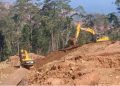 Perambahan hutan lindung di Konawe Utara, Damsus Antameng