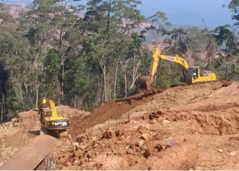 Perambahan hutan lindung di Konawe Utara, Damsus Antameng