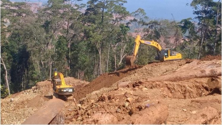 Perambahan hutan lindung di Konawe Utara, Damsus Antameng
