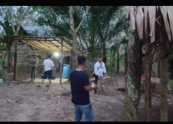 Polres Ogan Ilir (OI) grebek dan melakukan pemusnahan terhadap sarana dan prasarana perjudian sabung ayam dan dadu guncang