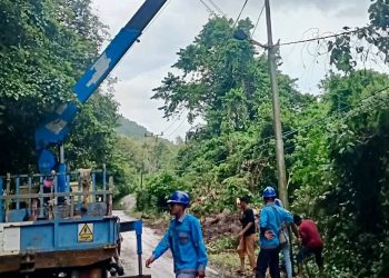 Sebanyak 24 tiang listrik yang terletak di Cot Meurong, tidak bisa dioperasikan terdampak longsor dan pohon tumbang