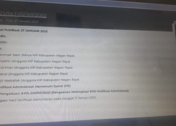 Halaman website DKPP yang telah menerima aduan dari masyarakat dengan teradu seluruh komisioner KIP Nagan Raya