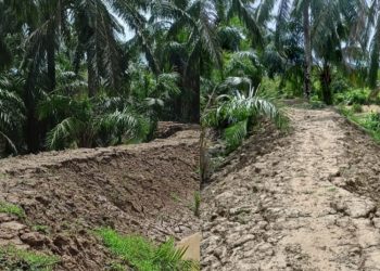 Pengerjaan proyek pembangunan Tanggul Alue Pineung