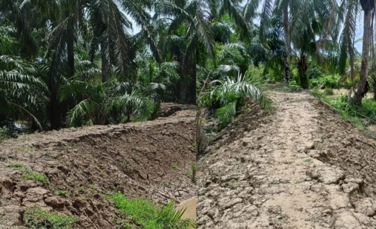 Pengerjaan proyek pembangunan Tanggul Alue Pineung