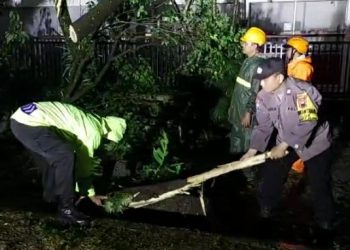 Kapolsek Purwokerto Selatan Polresta Banyumas Polda Jawa Tengah bersama Pawas, Ka Spk, Unit Lantas dan Bhabinkamtibmas mendatangi TKP pohon tumbang