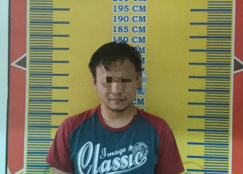 Pelaku berinisial EC (31) yang merupakan seorang petani beralamat di Dusun III Rt 15 Desa Taja Mulia Kecamatan Betung
