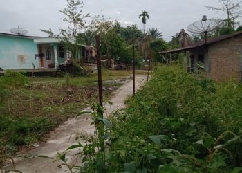 Daerah kelurahan Pematang Tanah Jawa kecamatan Tanah Jawa kabupaten Simalungun