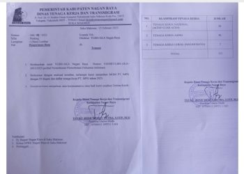 Surat informasi data dari pihak dinas Disnaker Kabupaten Nagan Raya