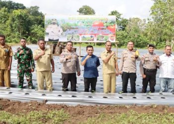 Kepala Kepolisian Resort (Kapolres) Belu, AKBP. Yosep Krisbiyanto, S.I.K bersama jajaran Muspika kecamatan Lasiolat, melakukan penanaman perdana bibit tomat Lahurus di Kebun Tani Binaan, Desa Fatulotu, Kecamatan Lasiolat