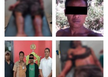 Ditangkapnya seorang lelaki dewasa terduga pelaku pembunuhan di Huta kelep Desa Lau bagot kecamatan Tigalingga yang terjadi pada hari Senin 06/03/23 sekira pukul 09.00 Wib