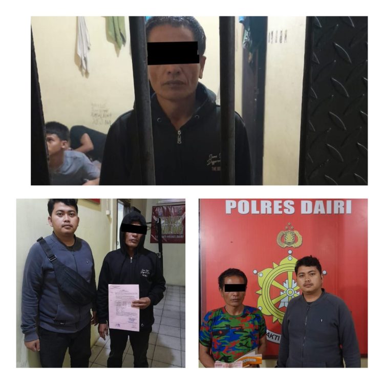Pelaku N S, 47 tahun, laki laki, petani, kristen, waega Jln. Sm raja tiga baru Desa Huta usang kecamatan Pegagan Hilir Kabupaten Dairi