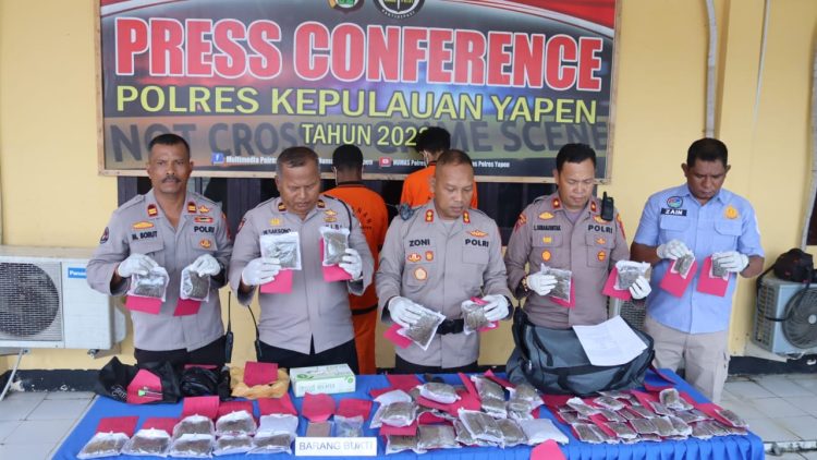 Kepolisian Resor Kepulauan Yapen menggelar Press Release Penyalahgunaan Narkotika Jenis Ganja, Kamis (9/3/23)