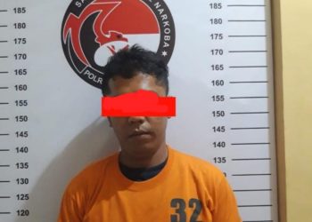 Pelaku TS.T Alias T, 27 tahun, warga Komplek Rumah Sakit Aek Nabara Desa. Emplasmen Aek Nabara Kec.Bilah Hulu Kab. Labuhanbatu
