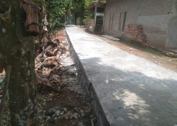 Pekerjaan Proyek Rabat Beton di samping Balai Pekon/Desa Campang tiga, Kecamatan kota agung