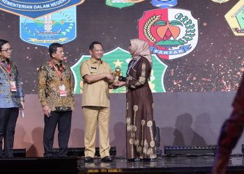 Penghargaan diberikan oleh Wakil Presiden Republik Indonesia, K.H. Ma'ruf Amin dan diserahkan oleh Mendagri Tito Karnavian