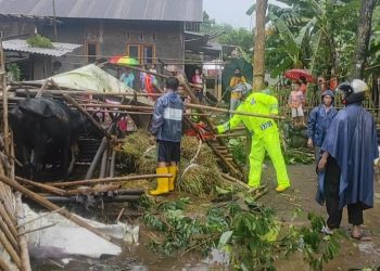Hujan deras disertai angin kencang terjadi di wilayah Desa Karangreja, Kecamatan Kutasari, Kabupaten PurbaIingga