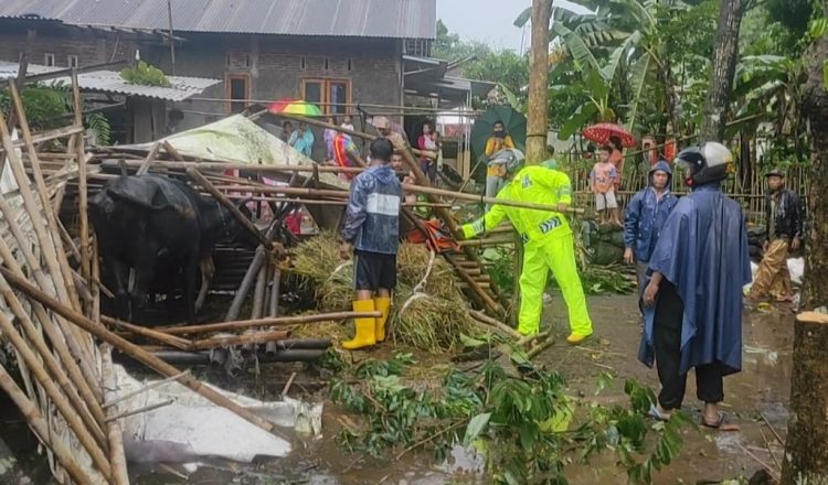 Hujan deras disertai angin kencang terjadi di wilayah Desa Karangreja, Kecamatan Kutasari, Kabupaten PurbaIingga