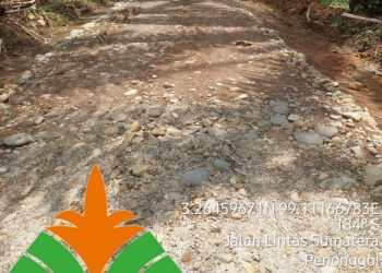 Kondisi Perkerjaan Pengerasaan Jalan di PTPN IV Unit Kebun Pabatu