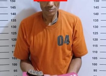 Pelaku SS Alias Pian, seorang petani pria paruh baya merupakan warga Dusun Pasar Baru Desa Terang Bulan Kec. Aek Natas Kab. Labuhanbatu Utara