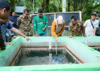 PJ Bupati Nagan Raya Fitriany Farhas menghadiri panen perdana budidaya ikan lele sangkuriang secara parsial di Desa Blang Teungoh, Kecamatan Kuala