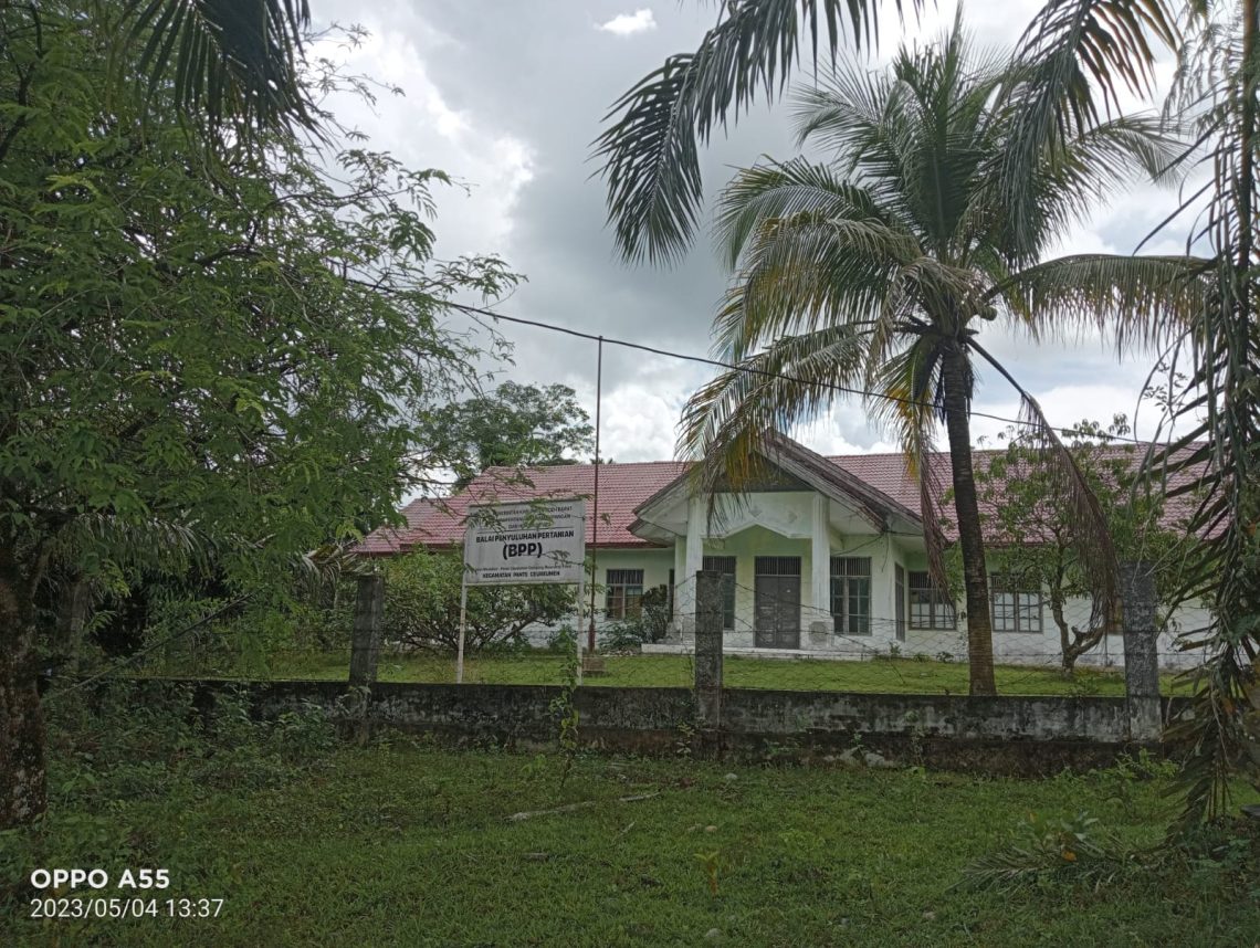 Kantor Balai Penyuluh Pertanian (BPP) Kecamatan Pante Ceureumeun, Kabupaten Aceh Barat, diduga terbengkalai tak berpenghuni, tidak terawat dan sudah ditumbuhi semak