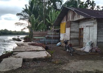 Abrasi akibat arus sungai Krueng Pante Ceureumen yang kian ganas, perlahan air mengikis dinding sungai hingga mendekati badan rumah warga Desa Alue keumang