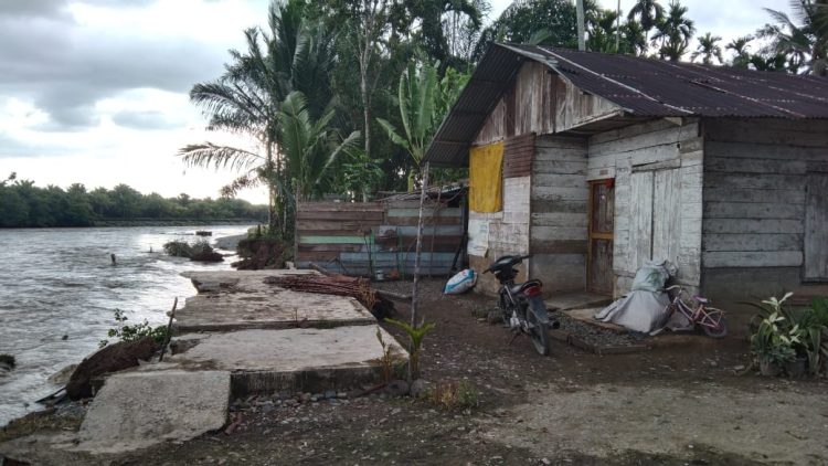 Abrasi akibat arus sungai Krueng Pante Ceureumen yang kian ganas, perlahan air mengikis dinding sungai hingga mendekati badan rumah warga Desa Alue keumang