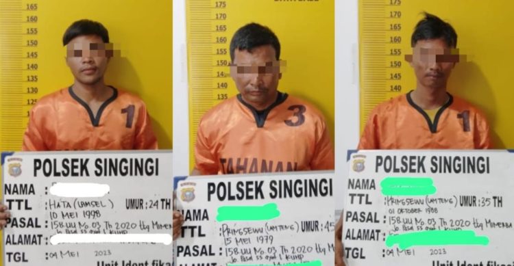 Polsek Singingi berhasil menangkap 3 (tiga) pelaku berinisial RW (25), H (44), dan B (35), Kamis, (04/05/2023) sekitar pukul 10.00 WIB di Desa Kebun Lado, Kecamatan Singingi