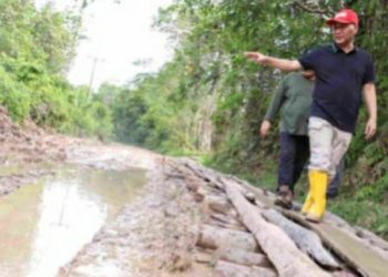 Kondisi ruas jalan rusak dan berlubang di Desa Bandar Jaya Kecamatan Sekayu, Kabupaten Musi Banyuasin (Muba), ditinjau langsung oleh Pj Bupati Apriyadi Mahmud