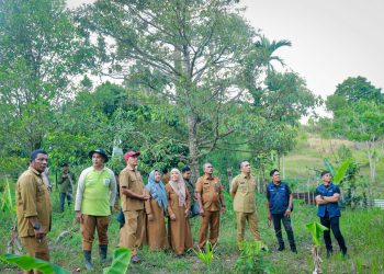 Pj Wali Kota Sabang berinteraksi dengan pengumpul hasil pertanian yang berlokasi di Paya Seunara dan meninjau langsung kebun milik petani Sabang, di Cot Maha Raja, Batee Shok, yang merupakan binaan KTNA Sabang