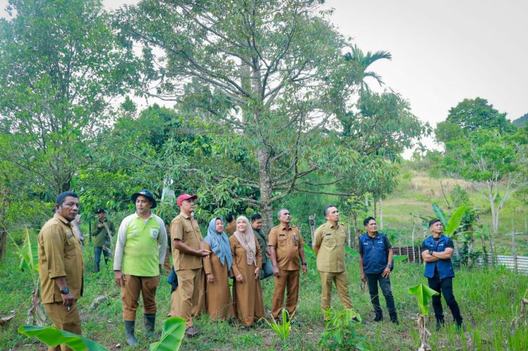 Pj Wali Kota Sabang berinteraksi dengan pengumpul hasil pertanian yang berlokasi di Paya Seunara dan meninjau langsung kebun milik petani Sabang, di Cot Maha Raja, Batee Shok, yang merupakan binaan KTNA Sabang