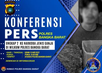 Polres Bangka Barat rencana besok akan menggelar konferensi Senin 15 Mei 2023 pada pukul 10.00 wib, terkait kasus penangkapan dan penyitaan barang bukti 2 kg ganja oleh tim penyidik Sat Narkoba