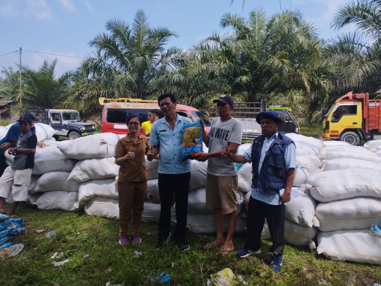 Pemerintah Pusat melalui kementrian pertanian menyaluran bantuan benih padi tahun 2023 Untuk pemerintahan kab. Simalungun yang salah satunya di kecamatan tanah jawa dengan areal persawahan seluas 1569 ha dengan jumlah benih 34.900 kg, Senin 15/05/2023 sekitar pukul 13.00 wib