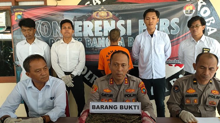 Kegiatan konferensi pers di pimpin langsung oleh Kapolres Bangka Barat AKBP Catur Prasetiyo SIK di dampingi oleh Kasat Resnarkoba AKP Eddy Yuhansyah dan Ps Kasihumas Ipda Ardianis