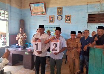 Dua kandidat ini resmi ditetapkan dari bakal calon kepala desa sebagai calon kepala desa oleh panitia pilkades desa Pedamaran 1 di kantor sekretariat Panitia Pilkades Pedamaran 1
