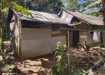 Rumah pak RAPINGUN yang terletak di desa campakoah rt 01 rw 01 kecamatan mrebet kabupaten purbalingga di antara rumah rumah di sekeliling nya tergolong rumah yang kurang layak