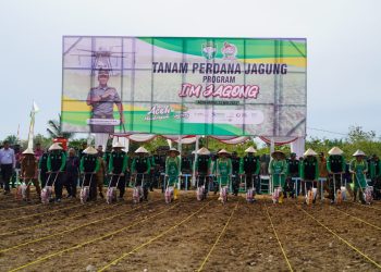 Panglima Komando Daerah Militer Iskandar Muda (Pangdam IM), Mayor Jenderal TNI Novi Helmy Prasetya, S.I.P, M.I.P., didampingi Ketua Persit KCK Daerah IM Ny. Iin Novi Helmy Prasetya beserta Forkopimda Aceh melaksanakan Tanam Perdana Program *I'M Jagong* secara serentak di tiga wilayah Provinsi Aceh