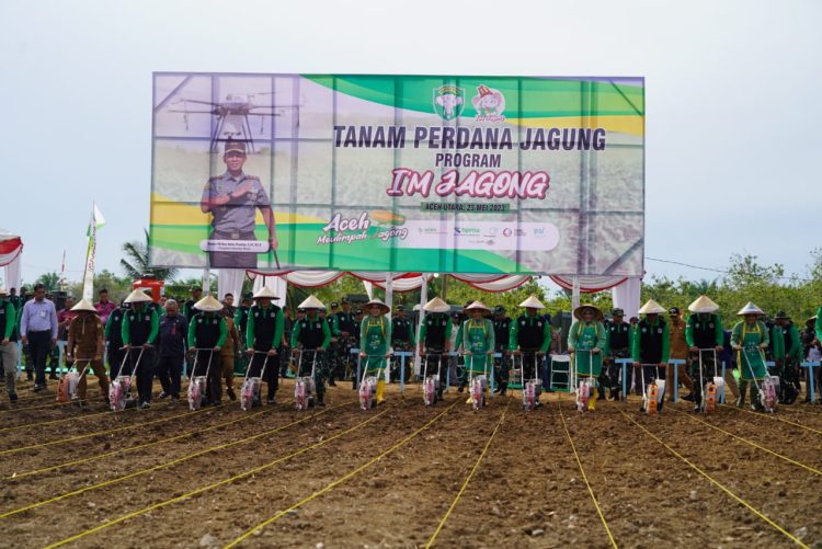 Panglima Komando Daerah Militer Iskandar Muda (Pangdam IM), Mayor Jenderal TNI Novi Helmy Prasetya, S.I.P, M.I.P., didampingi Ketua Persit KCK Daerah IM Ny. Iin Novi Helmy Prasetya beserta Forkopimda Aceh melaksanakan Tanam Perdana Program *I'M Jagong* secara serentak di tiga wilayah Provinsi Aceh