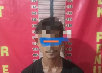 Pelaku bernama Rio Saputra (35) warga asal Desa Penandingan, Kecamatan Rantau Bayur, Kabupaten Banyuasin ini dibekuk Team Srigala Unit Reskrim Polsek Penukal Abab di daerah Muntok kabupaten Bangka