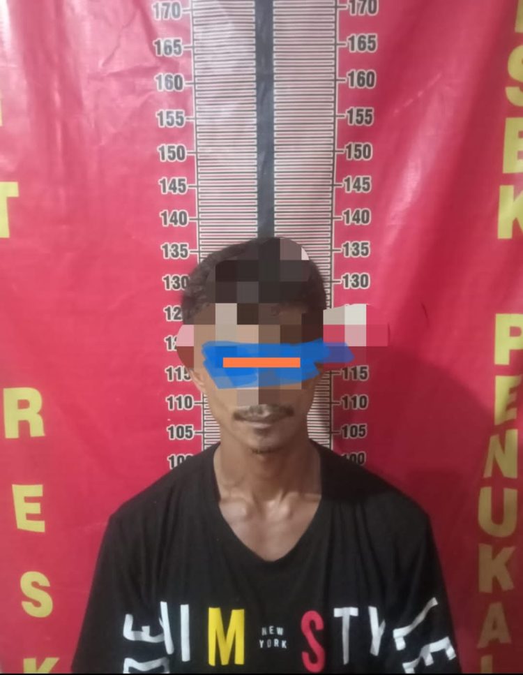 Pelaku bernama Rio Saputra (35) warga asal Desa Penandingan, Kecamatan Rantau Bayur, Kabupaten Banyuasin ini dibekuk Team Srigala Unit Reskrim Polsek Penukal Abab di daerah Muntok kabupaten Bangka