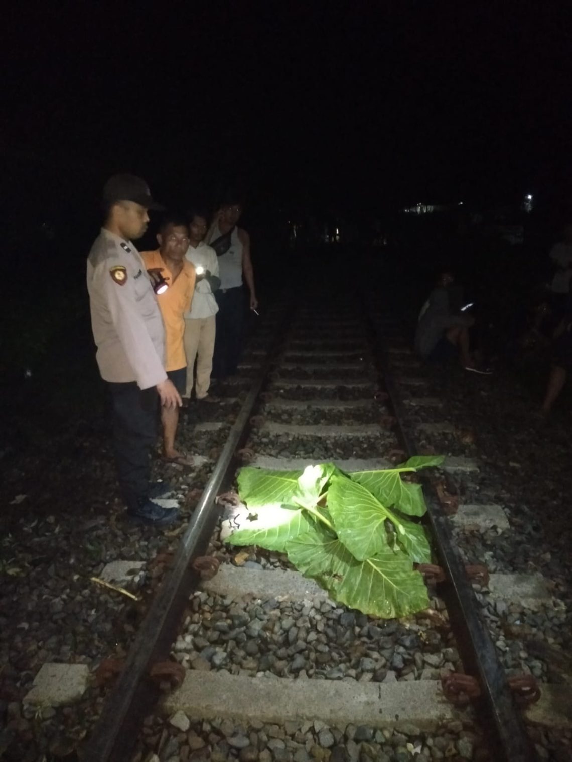 Dua orang pelajar warga Desa Sidomulyo Kec. Aek Kuo Kab. Labuhanbatu Utara tewas ditabrak Kereta Api jurusan Rantauprapat- Medan dengan kondisi mengenaskan
