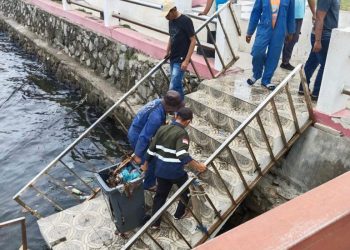 Pemerintah Kota Sabang melalui Dinas Lingkungan Hidup dan Kebersihan, Dinas Kelautan dan Perikanan, serta beberapa masyarakat Kota Sabang, bersama-sama turun langsung melakukan aksi bersih-bersih sampah, dibeberapa lokasi, seperti di seputaran kawasan tugu merah putih dan kawasan Sabang Fair