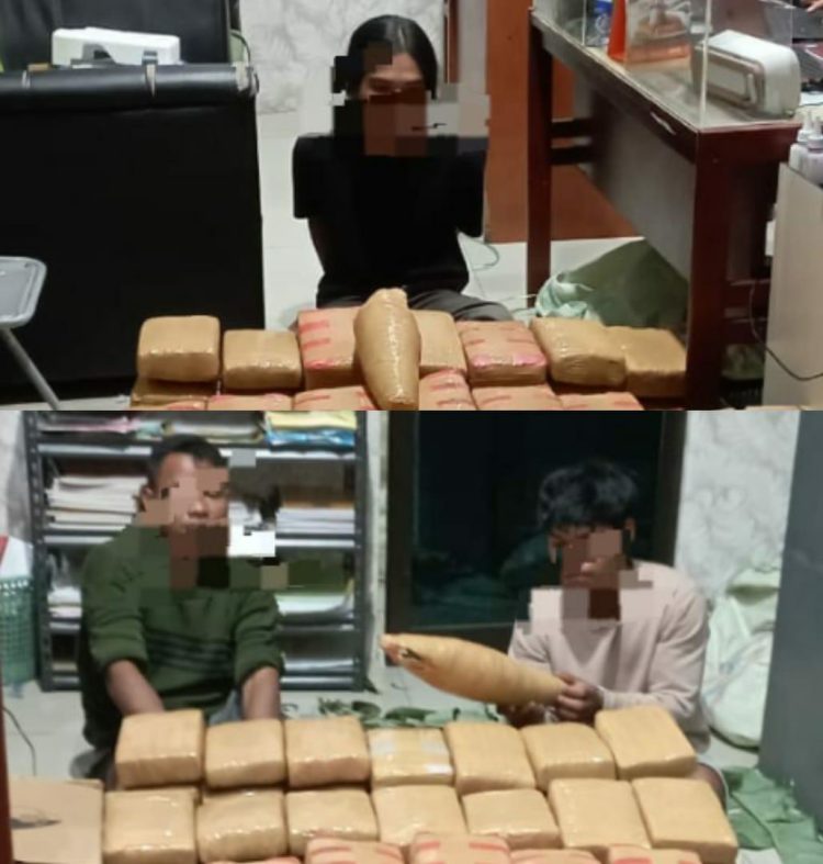 Tiga pelaku tindak pidana narkotika jenis ganja ditangkap Direktorat Narkoba Polda Sumut di Jalan Lintas Stabat- Aceh, Rabu ( 31/5/2023). (Foto Dok/ Polda Sumut)